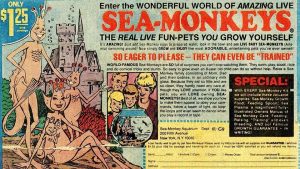 Enter the WONDERFUL WORLD OF AMAZING LIVE SEA-MONKEYS